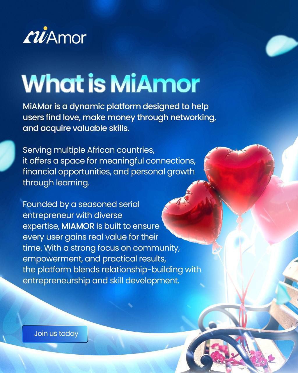 Romantic dinner setup